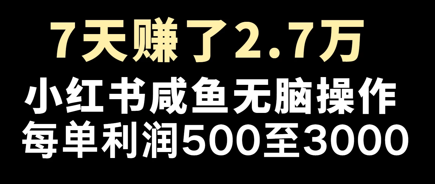 年前一大波红利，轻松月入5w＋，无脑操作远创网-专注分享副业落地实操课程 – 全网首发_高质量项目输出远创网