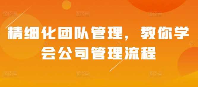 精细化团队管理，教你学会公司管理流程远创网-专注分享副业落地实操课程 – 全网首发_高质量项目输出远创网
