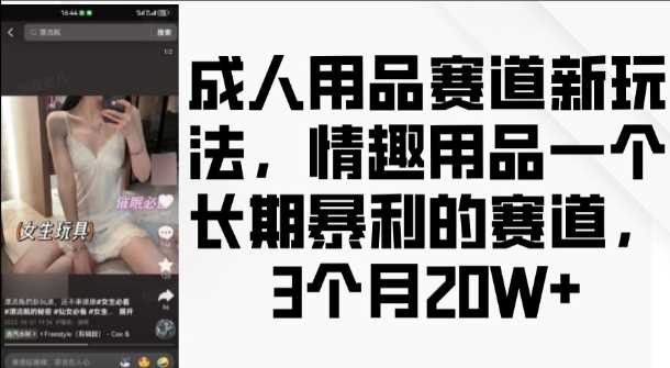 成人用品赛道新玩法，情趣用品一个长期暴利的赛道，3个月收益20个【揭秘】远创网-专注分享副业落地实操课程 – 全网首发_高质量项目输出远创网