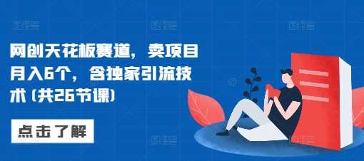 网创天花板赛道，卖项目月入6个，含独家引流技术(共26节课)远创网-专注分享副业落地实操课程 – 全网首发_高质量项目输出远创网