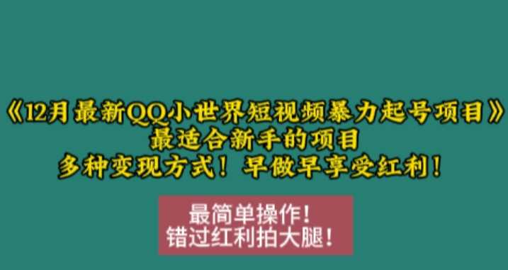 12月最新QQ小世界短视频暴力起号项目，最适合新手的项目，多种变现方式远创网-专注分享副业落地实操课程 – 全网首发_高质量项目输出远创网