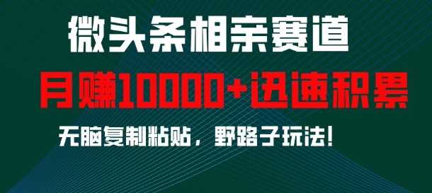 微头条相亲赛道，迅速积累，无脑复制粘贴，野路子玩法，月入1w远创网-专注分享副业落地实操课程 – 全网首发_高质量项目输出远创网