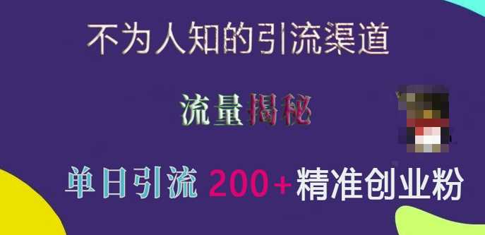 不为人知的引流渠道，流量揭秘，实测单日引流200+精准创业粉【揭秘】远创网-专注分享副业落地实操课程 – 全网首发_高质量项目输出远创网