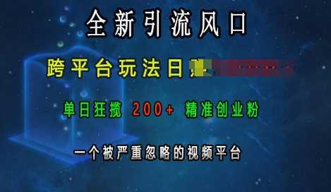 全新引流风口，跨平台玩法日入上k，单日狂揽200+精准创业粉，一个被严重忽略的视频平台远创网-专注分享副业落地实操课程 – 全网首发_高质量项目输出远创网