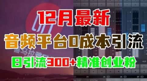 12月最新：音频平台0成本引流，日引流300+精准创业粉远创网-专注分享副业落地实操课程 – 全网首发_高质量项目输出远创网