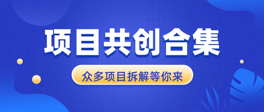 （13778期）项目共创合集，从0-1全过程拆解，让你迅速找到适合自已的项目远创网-专注分享副业落地实操课程 – 全网首发_高质量项目输出远创网