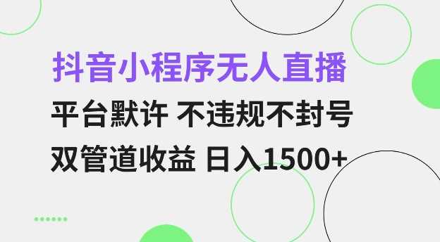 抖音小程序无人直播 平台默许 不违规不封号 双管道收益 日入多张 小白也能轻松操作【仅揭秘】远创网-专注分享副业落地实操课程 – 全网首发_高质量项目输出远创网