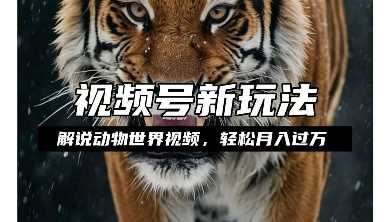 利用动物世界解说视频，赚分成计划收益，轻松月入过W，操作简单【揭秘】远创网-专注分享副业落地实操课程 – 全网首发_高质量项目输出远创网