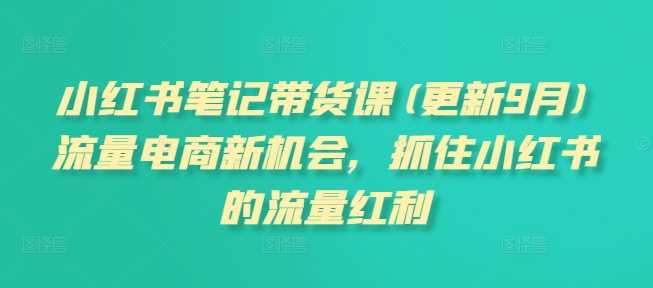 小红书笔记带货课(更新12月)流量电商新机会，抓住小红书的流量红利远创网-专注分享副业落地实操课程 – 全网首发_高质量项目输出远创网