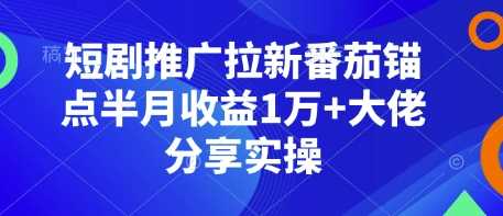 短剧推广拉新番茄锚点半月收益1万+大佬分享实操远创网-专注分享副业落地实操课程 – 全网首发_高质量项目输出远创网