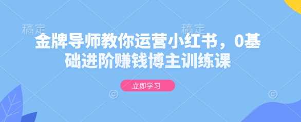 金牌导师教你运营小红书，0基础进阶赚钱博主训练课远创网-专注分享副业落地实操课程 – 全网首发_高质量项目输出远创网