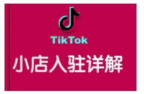 TikTok跨境小店运营全攻略，帮助你独立运营TK跨境小店的能力，实现销量增长远创网-专注分享副业落地实操课程 – 全网首发_高质量项目输出远创网