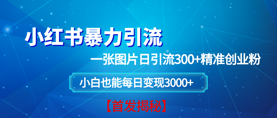 （13935期）小红书暴力引流法，一张图片日引 300+精准创业粉，每日稳定变现 3000+【揭秘】远创网-专注分享副业落地实操课程 – 全网首发_高质量项目输出远创网