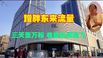 蹭胖东来流量，三天涨万粉，收益直接起飞远创网-专注分享副业落地实操课程 – 全网首发_高质量项目输出远创网