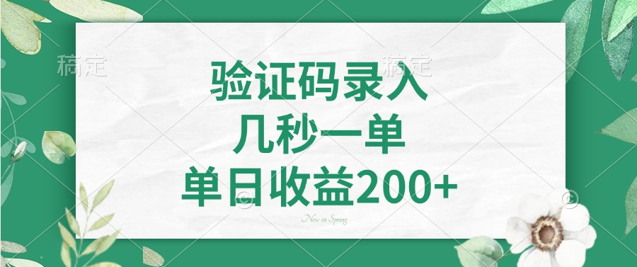 验证码录入，几秒一单，单日收益200+远创网-专注分享副业落地实操课程 – 全网首发_高质量项目输出远创网