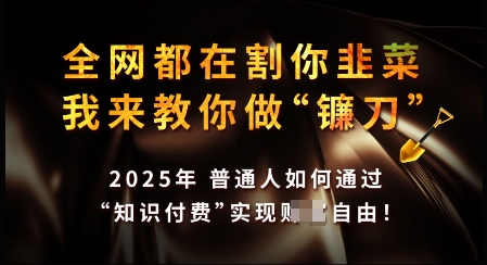 知识付费如何做到月入过W+，2025我来教你做“镰刀”【揭秘】远创网-专注分享副业落地实操课程 – 全网首发_高质量项目输出远创网