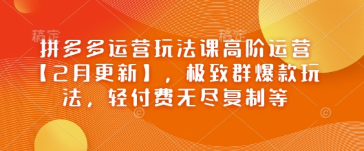 拼多多运营玩法课高阶运营【2月更新】，极致群爆款玩法，轻付费无尽复制等远创网-专注分享副业落地实操课程 – 全网首发_高质量项目输出远创网