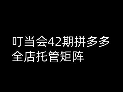 叮当会拼多多打爆班原创高阶技术第42期，拼多多全店托管矩阵远创网-专注分享副业落地实操课程 – 全网首发_高质量项目输出远创网
