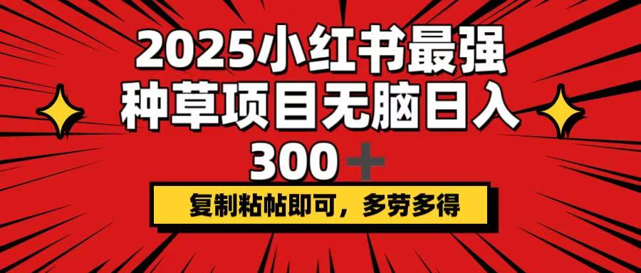 2025小红书最强种草项目，无脑日入300+，复制粘帖即可，多劳多得远创网-专注分享副业落地实操课程 – 全网首发_高质量项目输出远创网