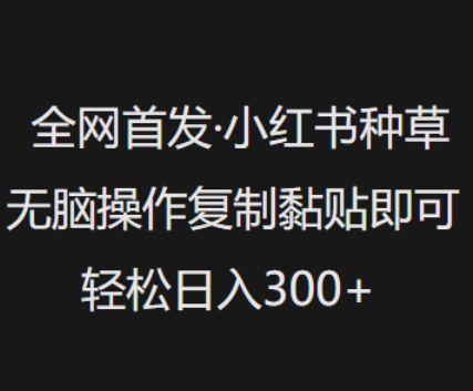 全网首发，小红书种草无脑操作，复制黏贴即可，轻松日入3张远创网-专注分享副业落地实操课程 – 全网首发_高质量项目输出远创网