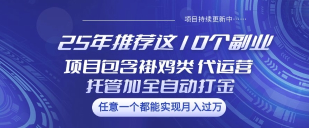 25年推荐这10个副业项目包含褂鸡类、代运营托管类、全自动打金类【揭秘】远创网-专注分享副业落地实操课程 – 全网首发_高质量项目输出远创网