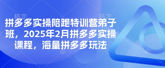 拼多多实操陪跑特训营弟子班，2025年2月拼多多实操课程，海量拼多多玩法远创网-专注分享副业落地实操课程 – 全网首发_高质量项目输出远创网