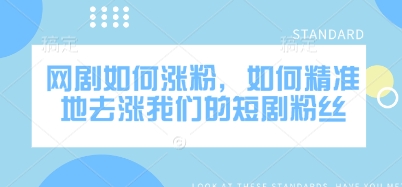 网剧如何涨粉，如何精准地去涨我们的短剧粉丝远创网-专注分享副业落地实操课程 – 全网首发_高质量项目输出远创网