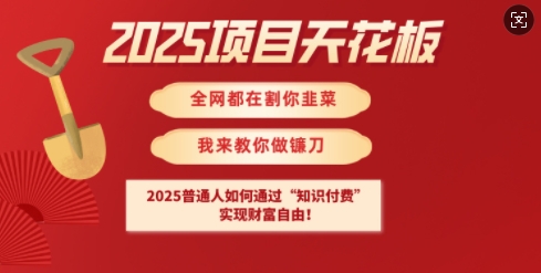 2025项目天花板普通人如何通过知识付费，实现财F自由【揭秘】远创网-专注分享副业落地实操课程 – 全网首发_高质量项目输出远创网