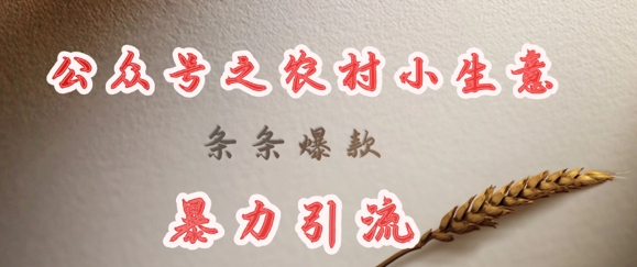deepseek写农村小项目，条条爆款，暴力引流远创网-专注分享副业落地实操课程 – 全网首发_高质量项目输出远创网