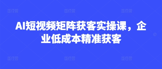 AI短视频矩阵获客实操课，企业低成本精准获客远创网-专注分享副业落地实操课程 – 全网首发_高质量项目输出远创网