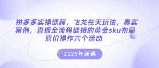 拼多多实操课程，飞龙在天玩法，真实案例，直播全流程链接的黄金sku布局原价操作六个活动远创网-专注分享副业落地实操课程 – 全网首发_高质量项目输出远创网