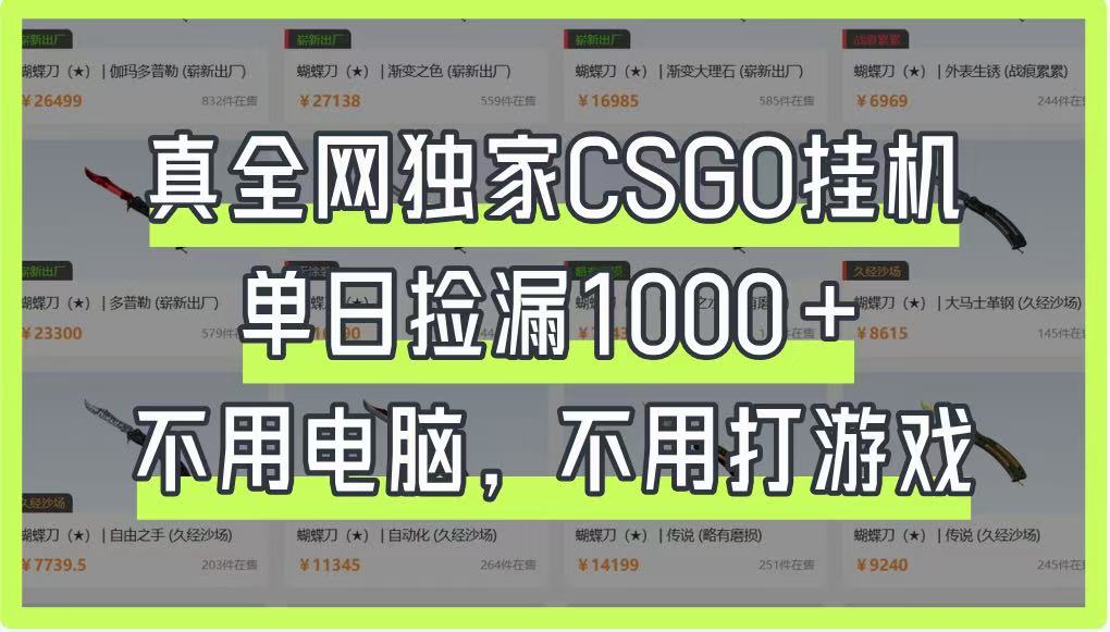 真全网独家CSGO挂机，单日捡漏1000+，不用电脑，不用养号远创网-专注分享副业落地实操课程 – 全网首发_高质量项目输出远创网