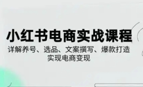 小红书从0-1实操课(2023-2025)，详解养号、选品、文案撰写、爆款打造实现电商变现远创网-专注分享副业落地实操课程 – 全网首发_高质量项目输出远创网