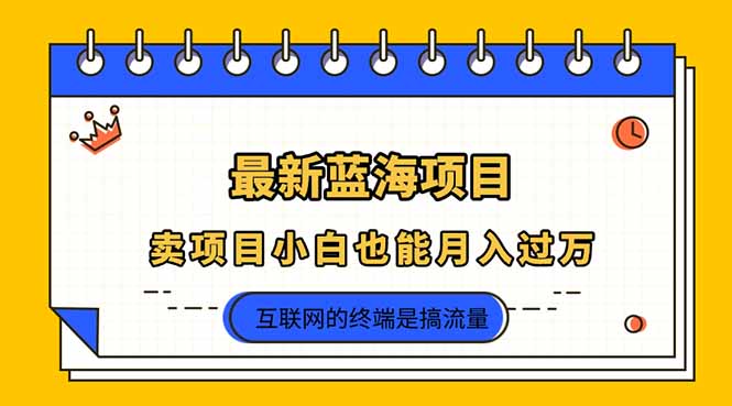 2025年最新蓝海项目，卖项目小白也能月入过万远创网-专注分享副业落地实操课程 – 全网首发_高质量项目输出远创网