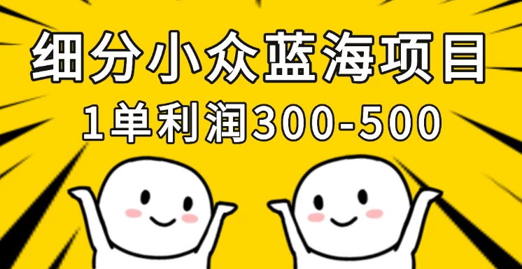 细分小众蓝海项目，一单利润300-500，每月收入稳定4w+远创网-专注分享副业落地实操课程 – 全网首发_高质量项目输出远创网