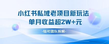 小红书私域项目新玩法，单月变现过W+远创网-专注分享副业落地实操课程 – 全网首发_高质量项目输出远创网