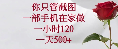 你只管截图，一部手机在家做，苹果安卓都可以，一小时120，一天5张+【揭秘】远创网-专注分享副业落地实操课程 – 全网首发_高质量项目输出远创网