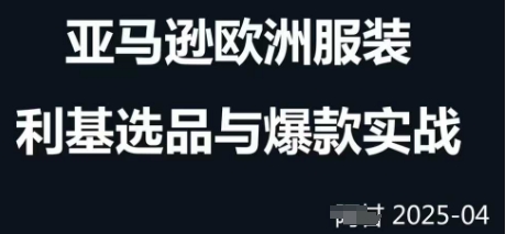 跨境电商选品案例24-25年，聚焦跨境电商选品策略与运营优化，助力卖家挖掘蓝海市场远创网-专注分享副业落地实操课程 – 全网首发_高质量项目输出远创网
