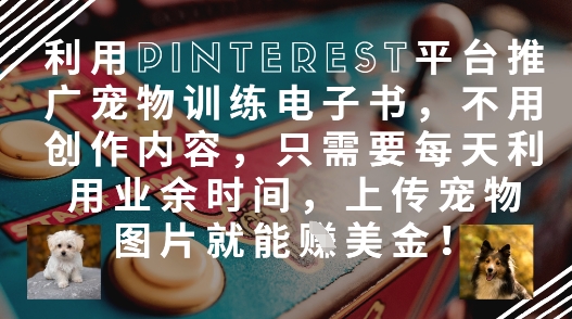利用Pinterest平台推广宠物训练电子书，不用创作内容，只需要每天利用业余时间，上传宠物图片就能挣美金!远创网-专注分享副业落地实操课程 – 全网首发_高质量项目输出远创网