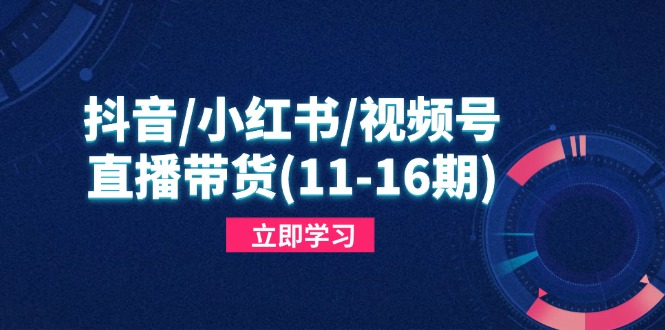 抖音/小红书/视频号/直播带货(11-16期远创网-专注分享副业落地实操课程 – 全网首发_高质量项目输出远创网