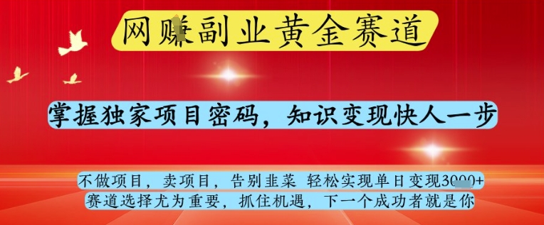 网创副业黄全赛道，掌握独家项目密码，知识变现快人一步，告别韭菜轻松实现单日变现1k+【揭秘】远创网-专注分享副业落地实操课程 – 全网首发_高质量项目输出远创网