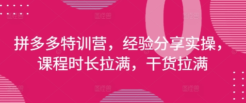 拼多多特训营，经验分享实操，课程时长拉满，干货拉满(更新25年4月)远创网-专注分享副业落地实操课程 – 全网首发_高质量项目输出远创网