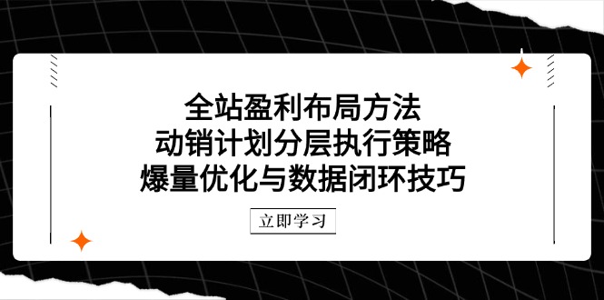 全站盈利布局方法：动销计划分层执行策略，爆量优化与数据闭环技巧远创网-专注分享副业落地实操课程 – 全网首发_高质量项目输出远创网
