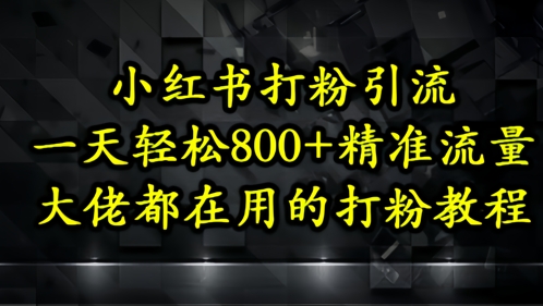 小红书打粉引流，一天轻松500+精准流量，大佬都在用的打粉教程远创网-专注分享副业落地实操课程 – 全网首发_高质量项目输出远创网