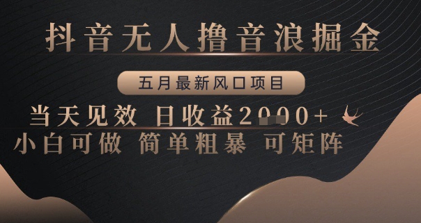抖音无人撸音浪掘金，五月最新风口项目，当天见效，日收益多张，小白可做简单粗暴可矩阵【揭秘】远创网-专注分享副业落地实操课程 – 全网首发_高质量项目输出远创网