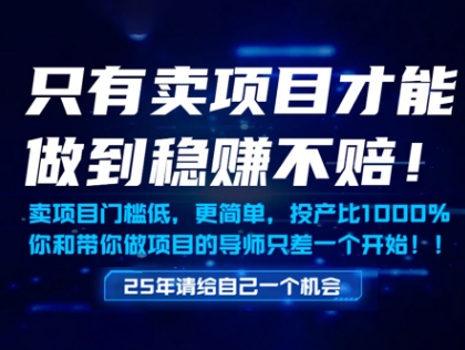 只有卖项目才能做到稳挣不赔，门槛低，更简单，你也可以年入百个W【揭秘】远创网-专注分享副业落地实操课程 – 全网首发_高质量项目输出远创网