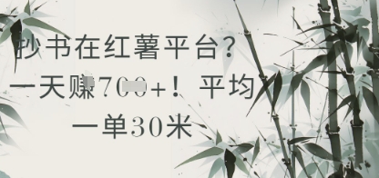 抄书在小红薯平台？平均一单30米，一天收益几张！远创网-专注分享副业落地实操课程 – 全网首发_高质量项目输出远创网