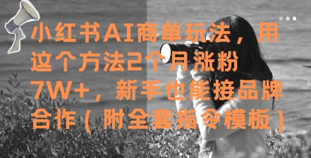 小红书AI商单玩法，用这个方法2个月涨粉7W+，新手也能接品牌合作(附全套指令模板)远创网-专注分享副业落地实操课程 – 全网首发_高质量项目输出远创网