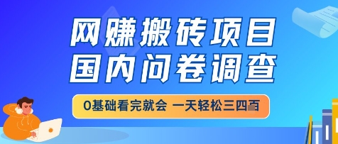 网创搬砖项目，国内问卷调查，小白轻松上手，一天三四张的也不难，干就完了【揭秘】远创网-专注分享副业落地实操课程 – 全网首发_高质量项目输出远创网