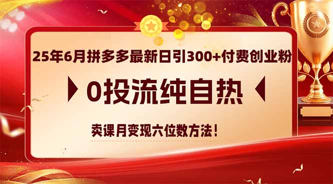 25年6月拼多多最新日引300+付费创业粉，0投流纯自热 卖课月变现六位数方法远创网-专注分享副业落地实操课程 – 全网首发_高质量项目输出远创网